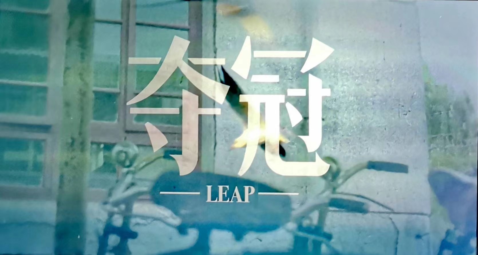 1603156480300051.jpg 1603156480300051.jpg