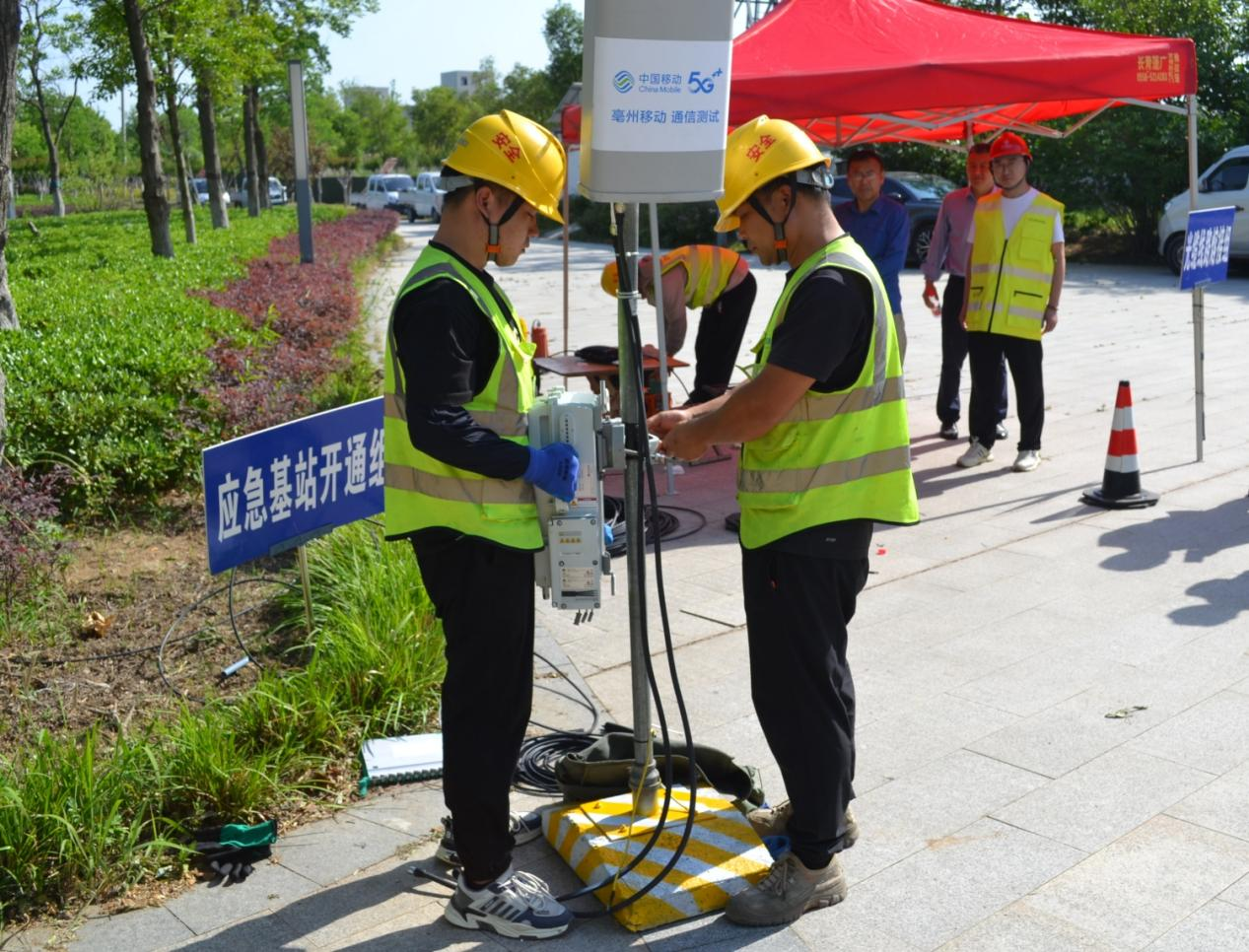 1736219552748435.png 1736219552748435.png